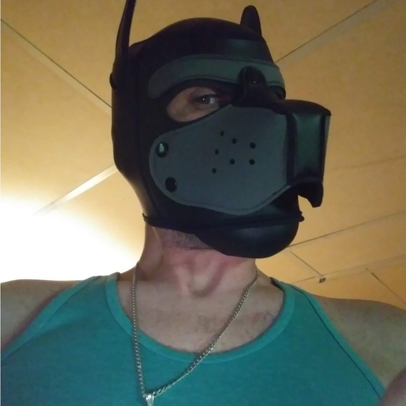 Meet your Posher, Maximilian - Picture 4 of 8